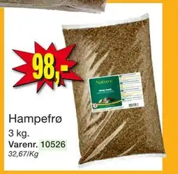 Harald Nyborg Hampefrø tilbud