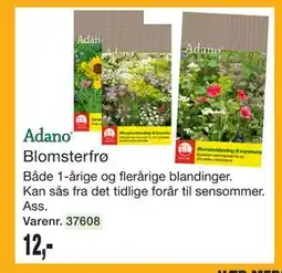 Harald Nyborg Blomsterfrø tilbud