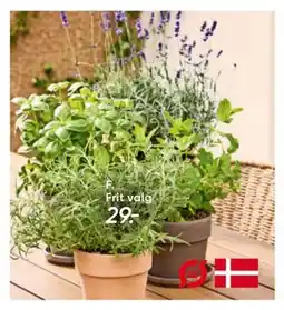 Bilka Økologiske krydderurter tilbud