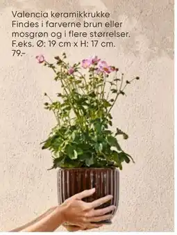Bilka Valencia keramikkrukke tilbud