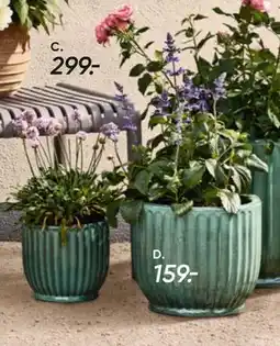 Bilka Valencia keramikkrukke tilbud