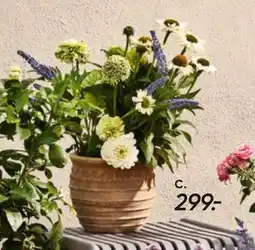 Bilka Messina loungebord - dusty brown tilbud