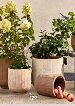 Bilka Sevilla lerkrukke tilbud