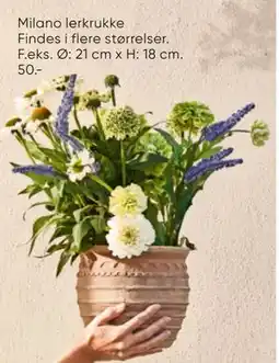 Bilka Milano lerkrukke tilbud