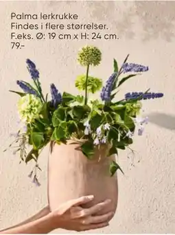 Bilka Palma lerkrukke tilbud