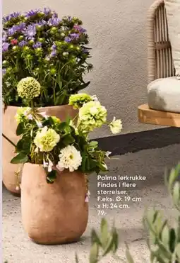 Bilka Palma lerkrukke tilbud