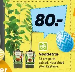 Bilka Nødde træ tilbud