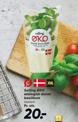 Bilka Salling ØKO økologisk dansk basilikum tilbud