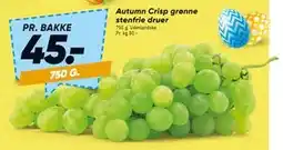 Bilka Autumn Crisp grønne stenfrie druer tilbud