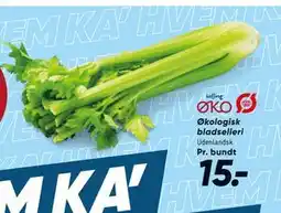 Bilka Økologisk bladselleri tilbud