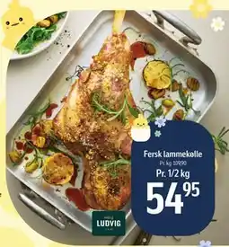Føtex Fersk lammekølle tilbud