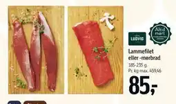 Føtex Lammefilet eller -mørbrad tilbud