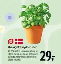 Føtex Økologiske krydderurter tilbud