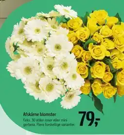 Føtex Afskårne blomster tilbud
