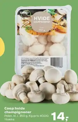 SuperBrugsen Coop hvide champignon tilbud