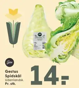 SPAR Gestus Spidskål tilbud