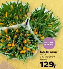 Kvickly Gule tulipaner tilbud