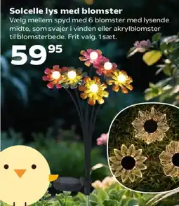 Kvickly Solcelle lys med blomster tilbud