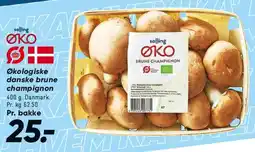 Bilka Økologiske brune champignon tilbud