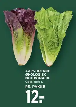 MENY AARSTIDERNE ØKOLOGISK MINI ROMAINE tilbud