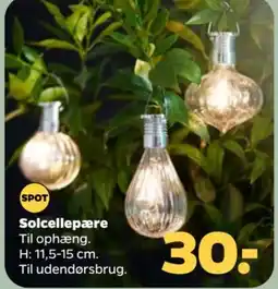 Netto SPOT Solcellepære tilbud