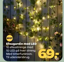 Netto Spot efeugardin med led tilbud