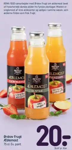 REMA 1000 Ørskov Frugt Æblemost tilbud