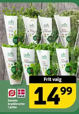 Løvbjerg Danske krydderurter i potte tilbud