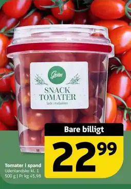 Løvbjerg Tomater i spand tilbud