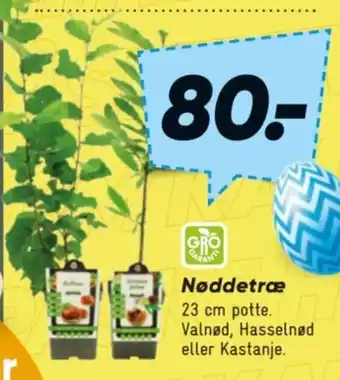 Bilka Nøddetræ tilbud