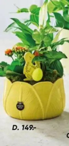 Bilka Planter i skjuler med påskepynt tilbud