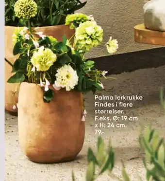 Bilka Palma lerkrukke tilbud