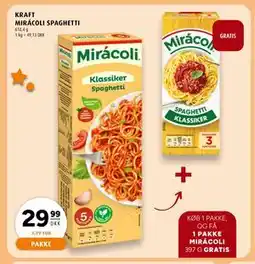 Scandinavian Park KØB 1 PAKKE, OG FÅ tilbud