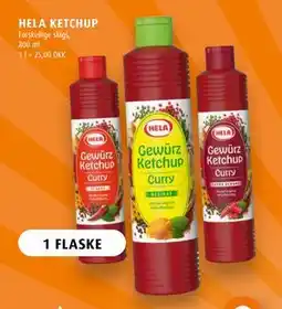 Scandinavian Park HELA KETCHUP tilbud