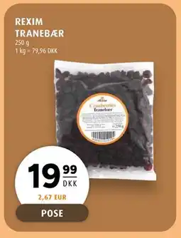 Scandinavian Park REXIM TRANEBÆR tilbud