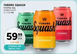 Scandinavian Park TUBORG SQUASH tilbud