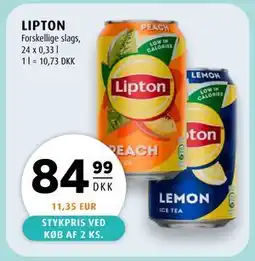 Scandinavian Park LIPTON tilbud