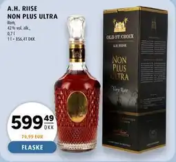 Scandinavian Park A.H. RIISE NON PLUS ULTRA tilbud