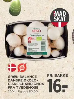 MENY GRØN BALANCE DANSKE ØKOLOGISKE CHAMPIGNON FRA TVEDEMOSE tilbud