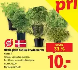 Lidl Økologiske danske krydderurter tilbud