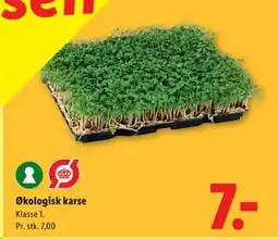 Lidl Økologisk karse tilbud