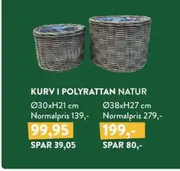 Plantorama KURV I POLYRATTAN NATUR tilbud