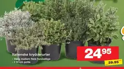 Bauhaus Italienske krydderurter tilbud