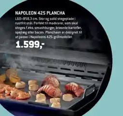 XL-BYG Napoleon 425 plancha tilbud