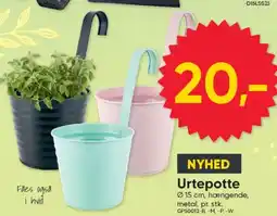 BigDollar Urtepotte tilbud