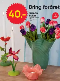 BigDollar Tulipan- buket tilbud