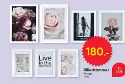 BigDollar Billedrammer tilbud