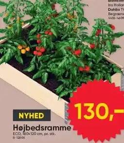BigDollar NYHED Højbedsramme tilbud