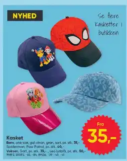 BigDollar Kasket tilbud