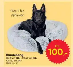 BigDollar Hundeseng tilbud